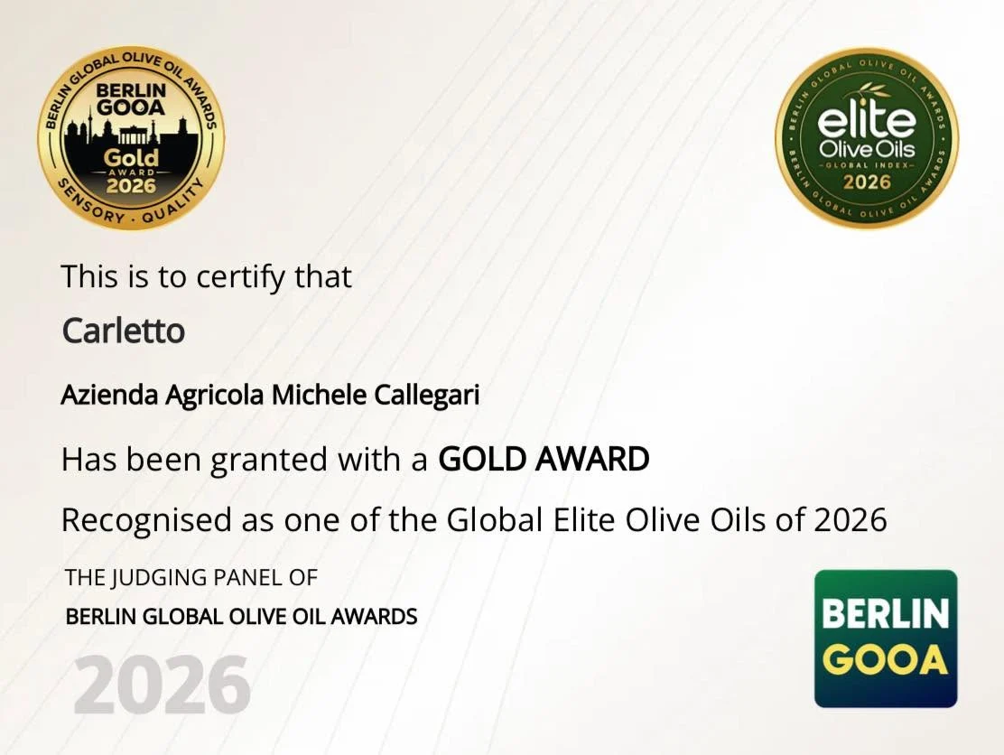 Berlin-GOOA-2026-diploma-Final-Gold67