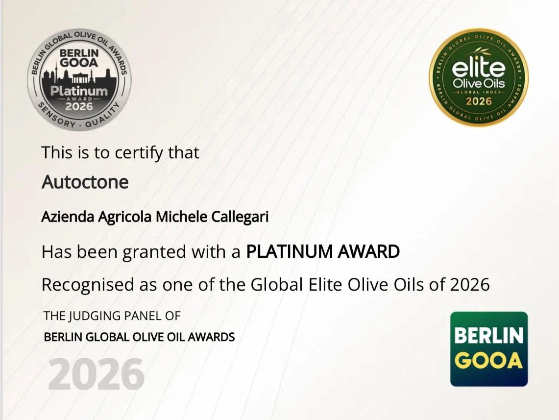 Berlin-GOOA-2026-diploma-Final-Platinum_67
